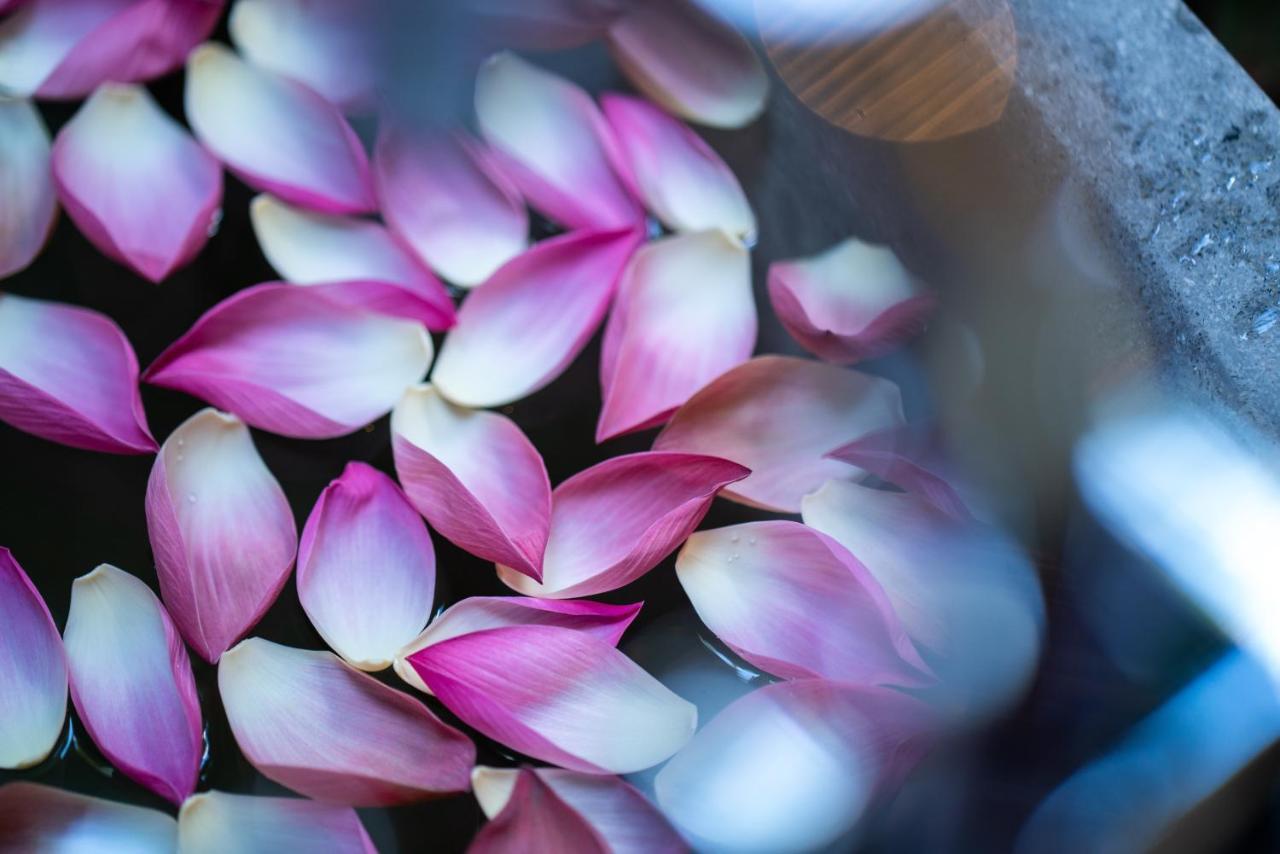 Shintana Saya La Maison Сием Реап Екстериор снимка Lotus petals